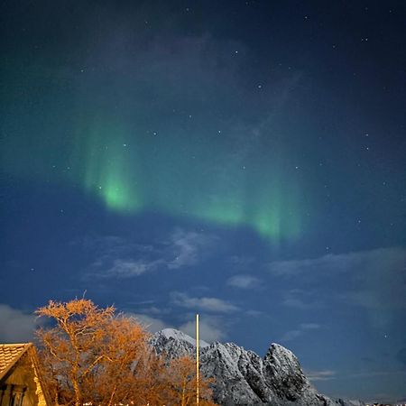 Hovesbua Rorbu - Fisherman Cabin Villa Sørvågen Kültér fotó